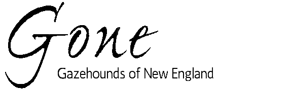 Gazehounds of New England